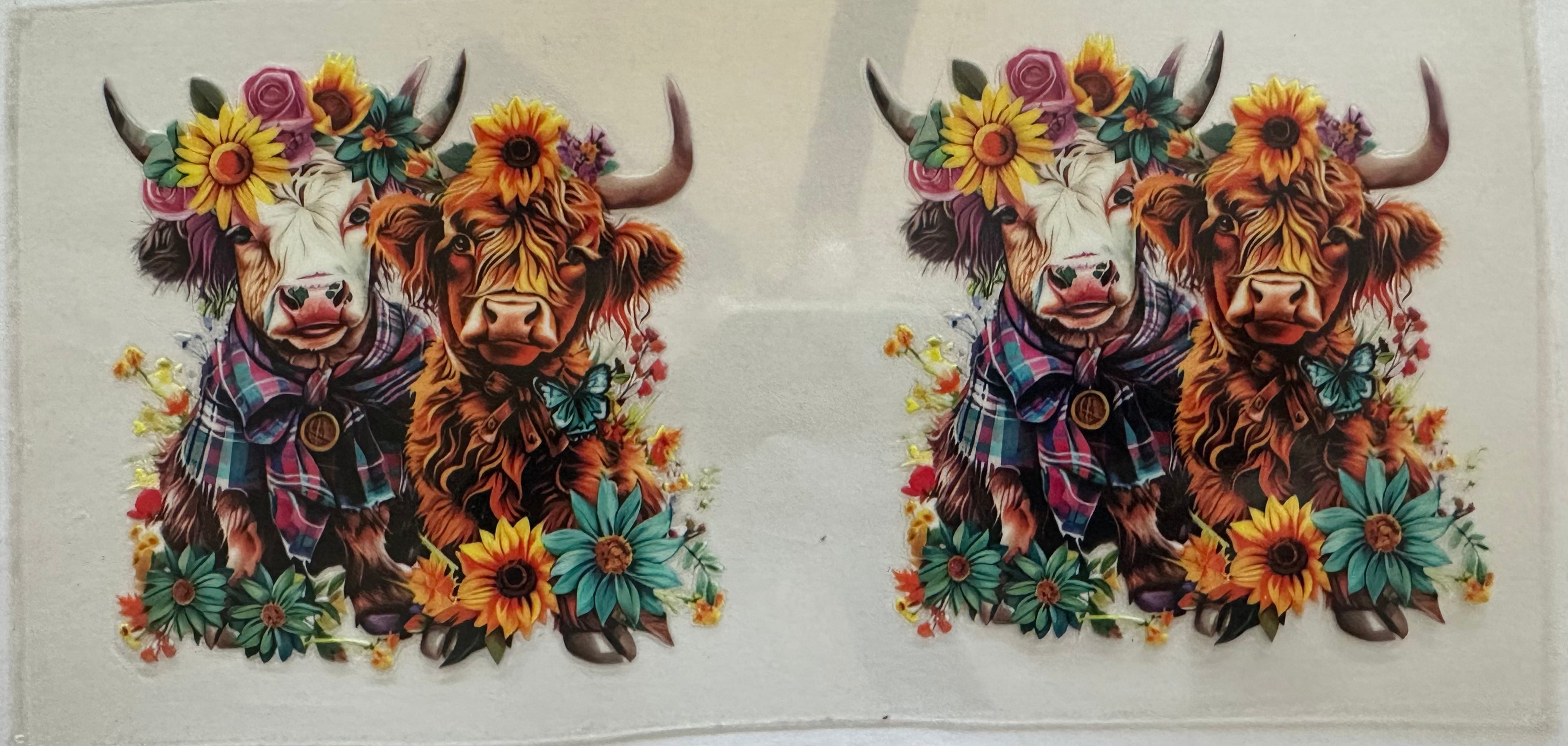 Sunflower Moo