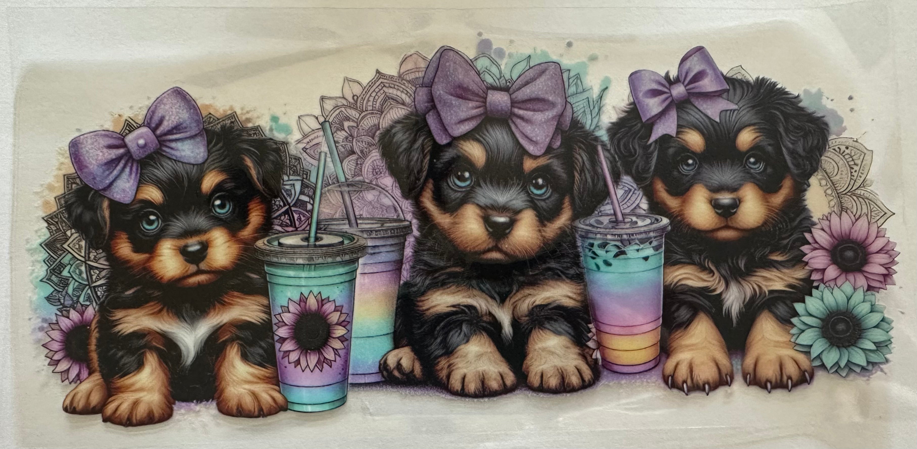 Puppies