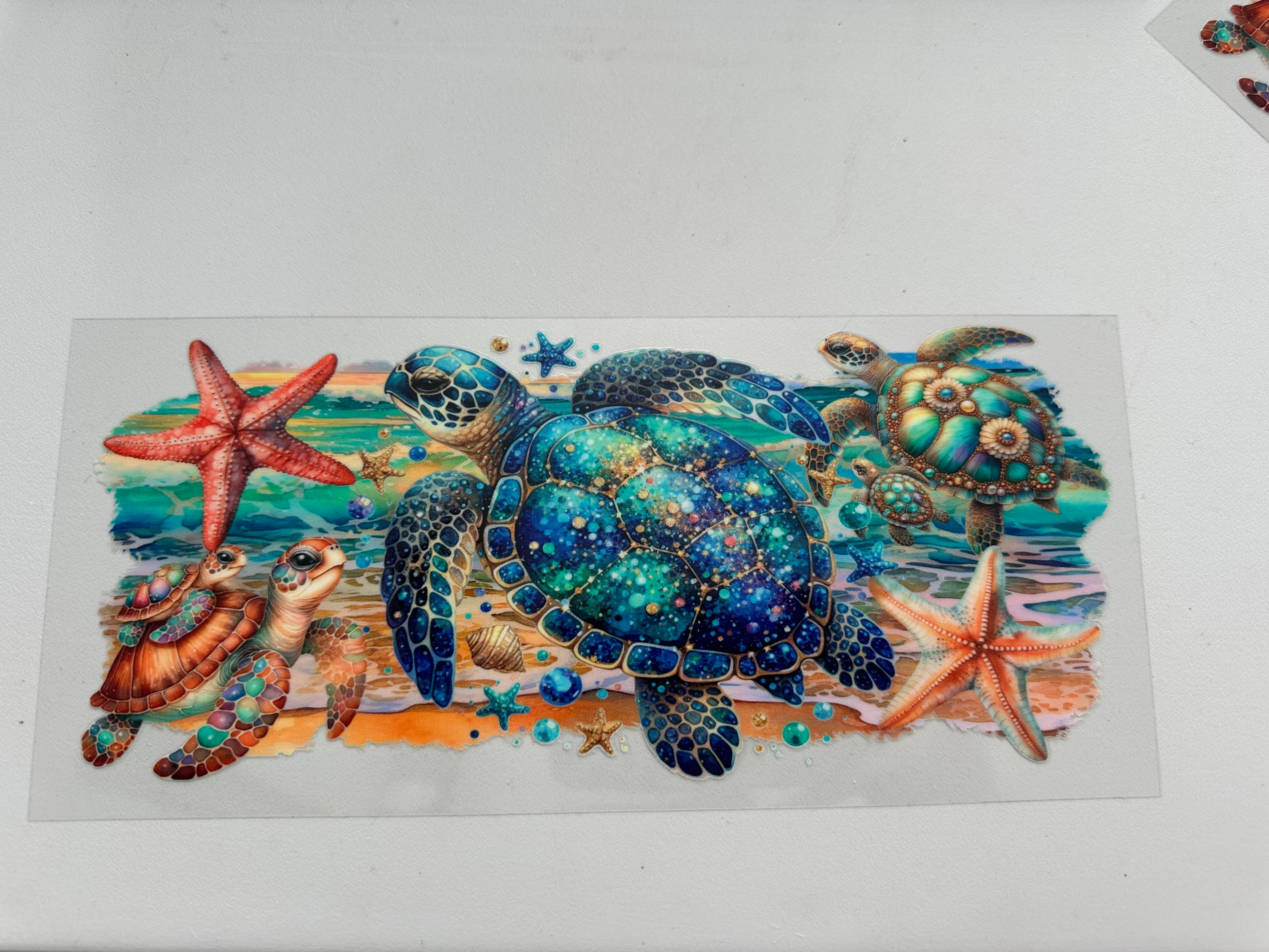 Turtle