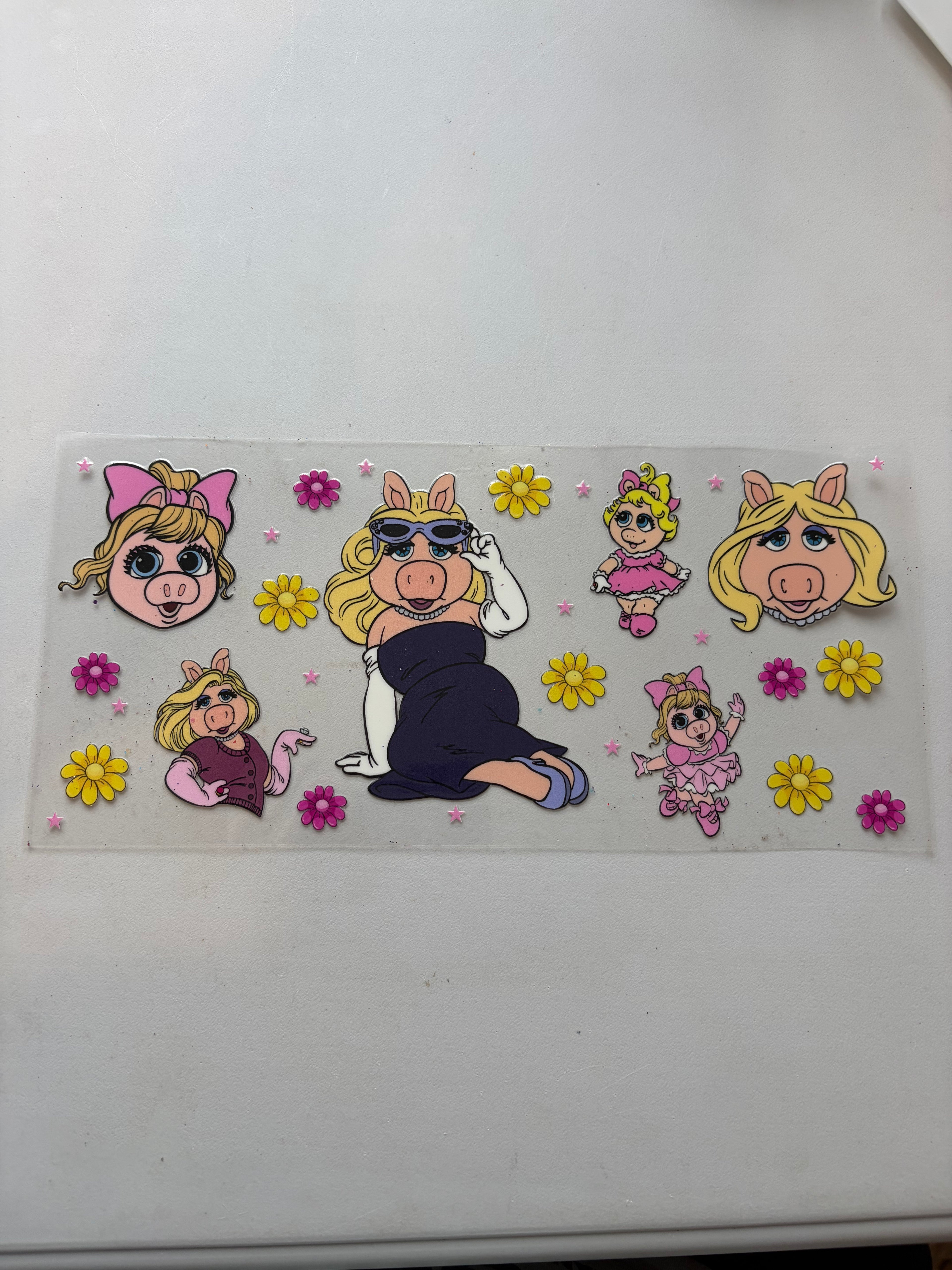 16 oz cartoon pig
