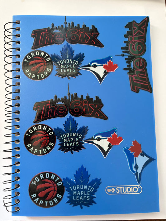TNO sports teams notebook