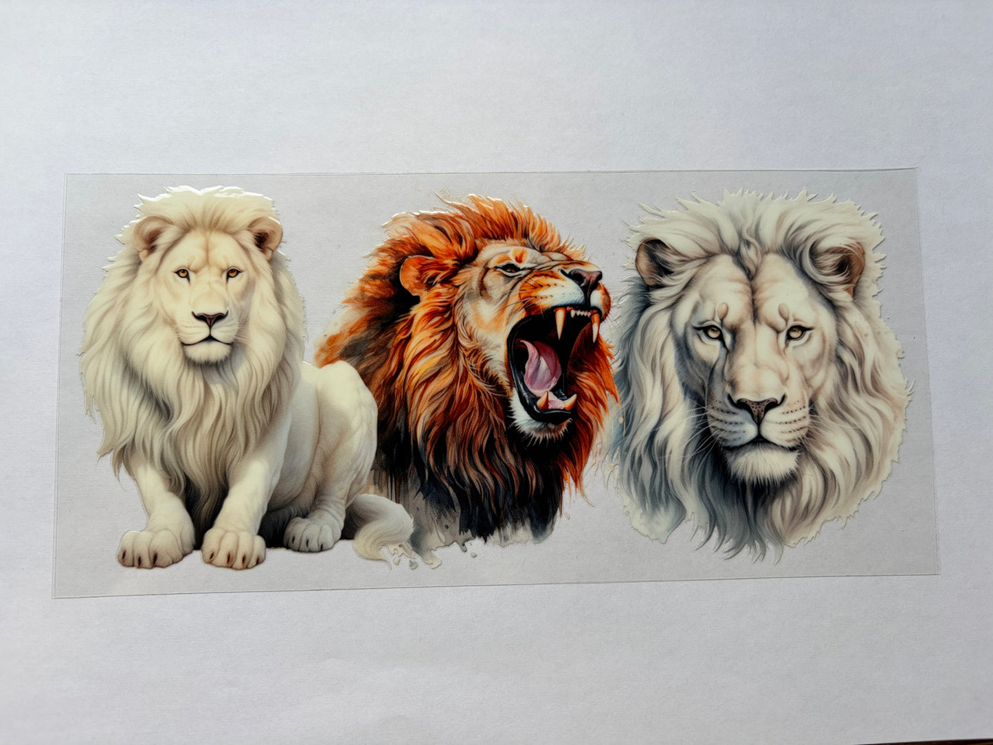 Roaring Lion