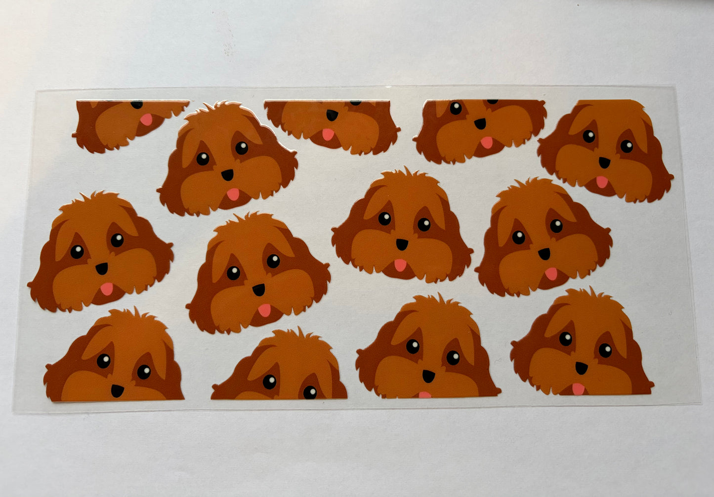 Poodle