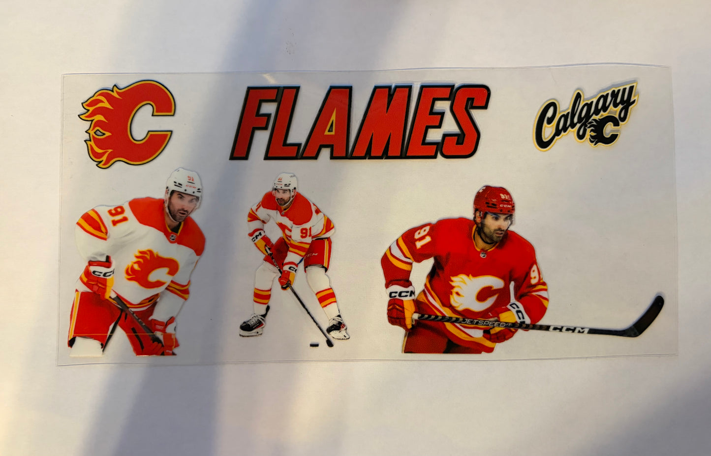 Calgary Pro Hockey #1
