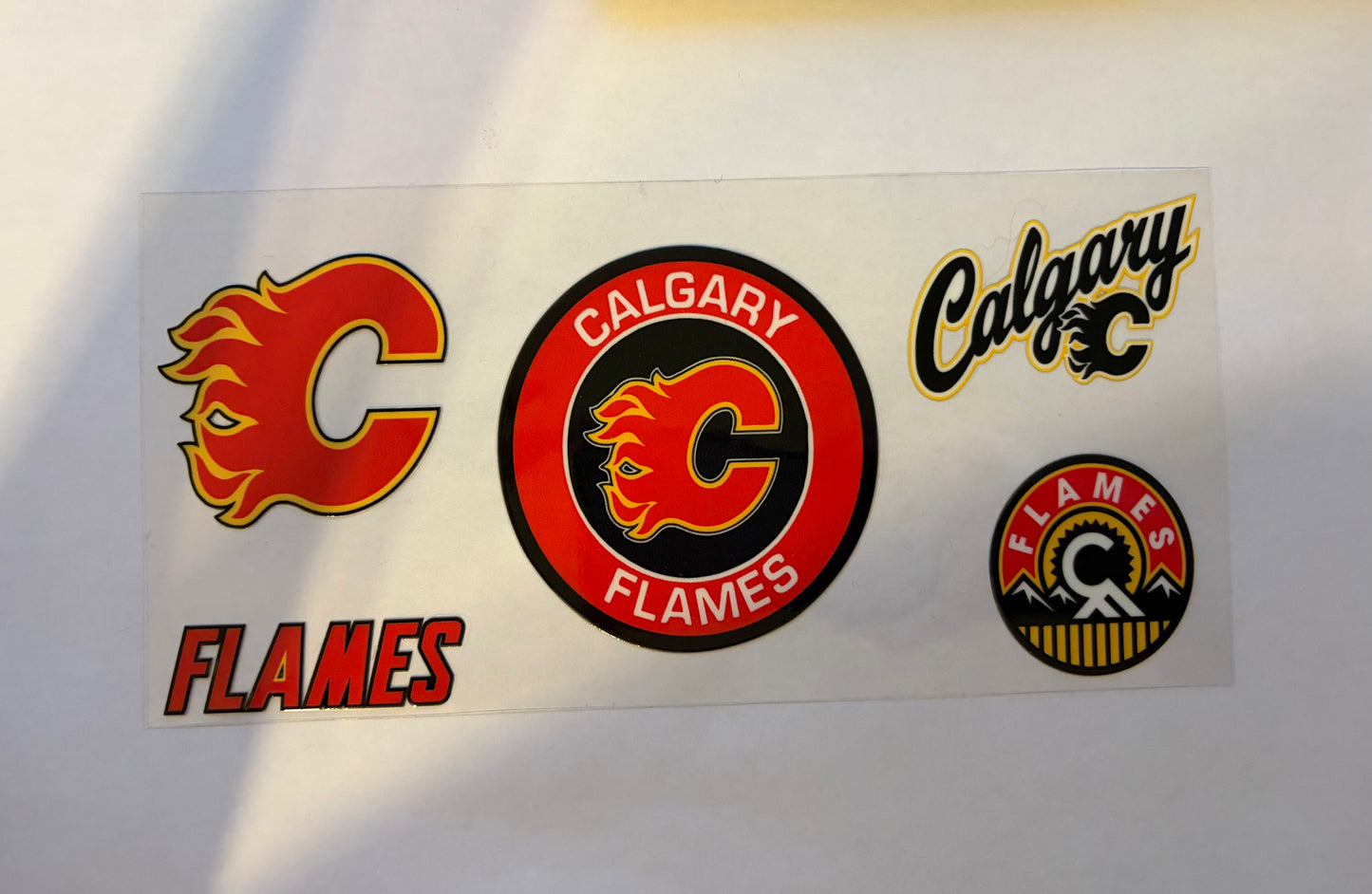 Calgary Pro Hockey #2