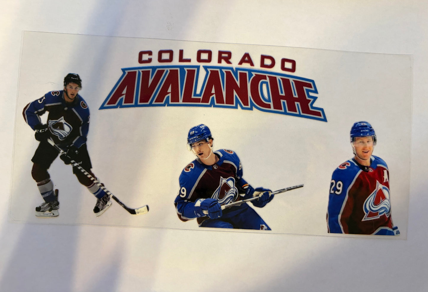 Colorado  Pro Hockey