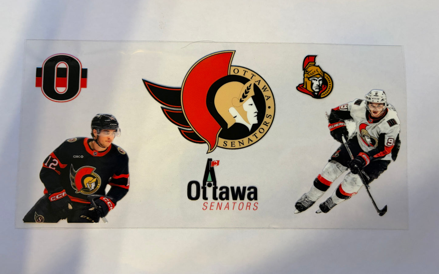 Ottawa Pro Hockey