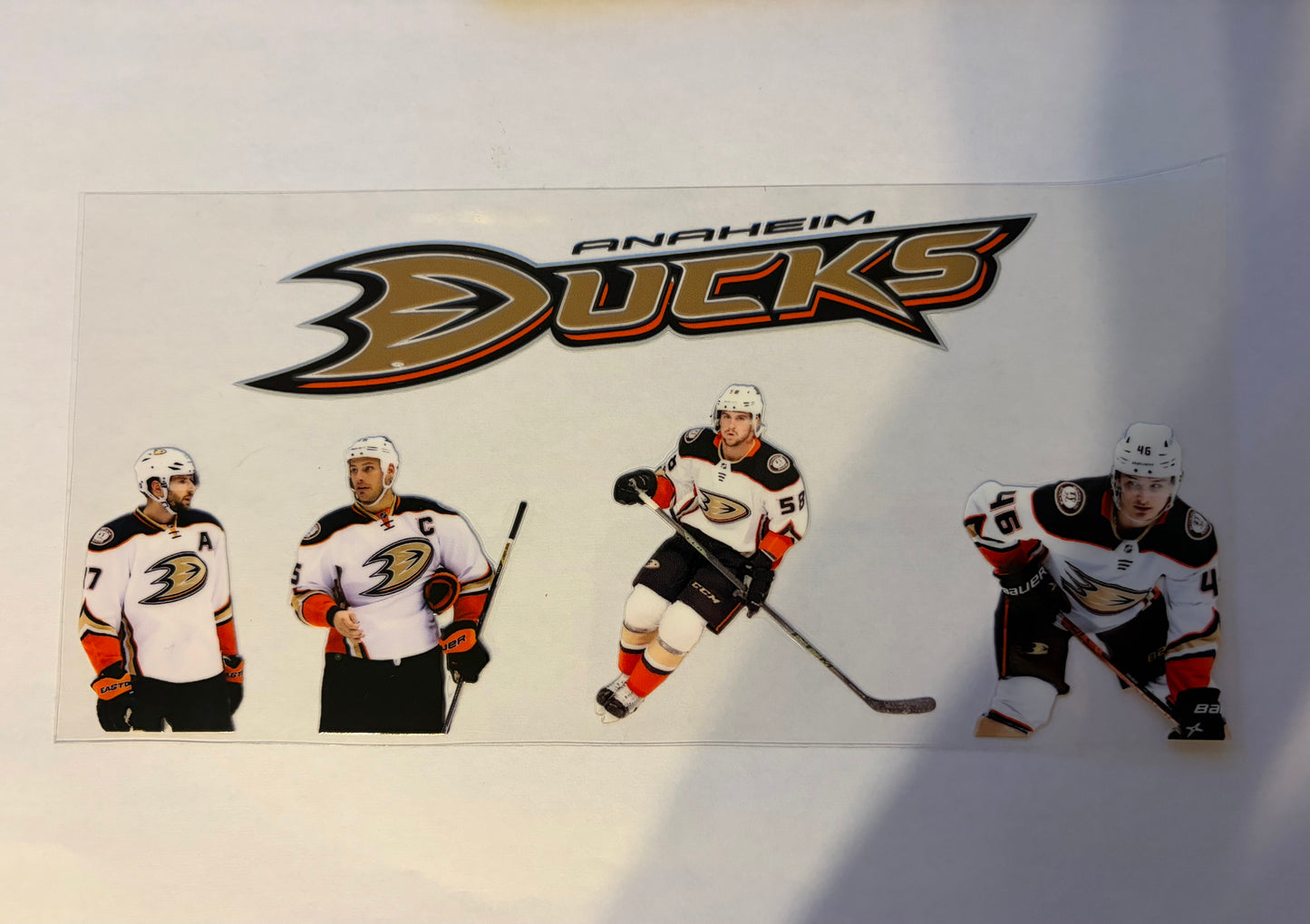 Anaheim Pro Hockey