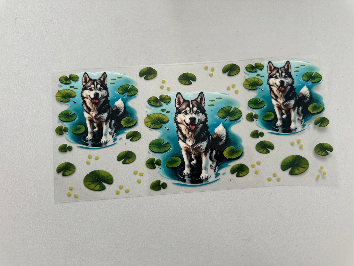 Doggy