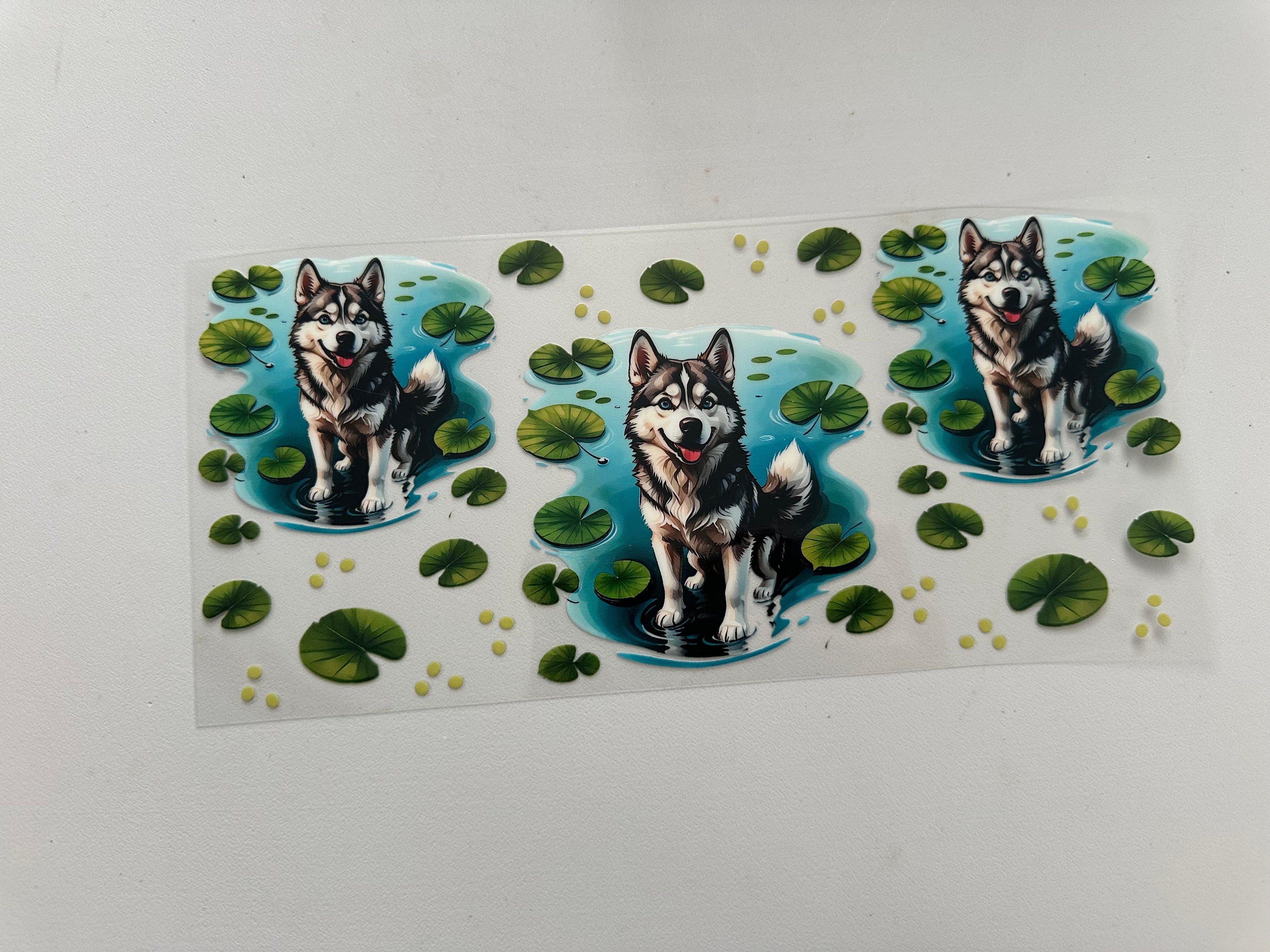 Doggy
