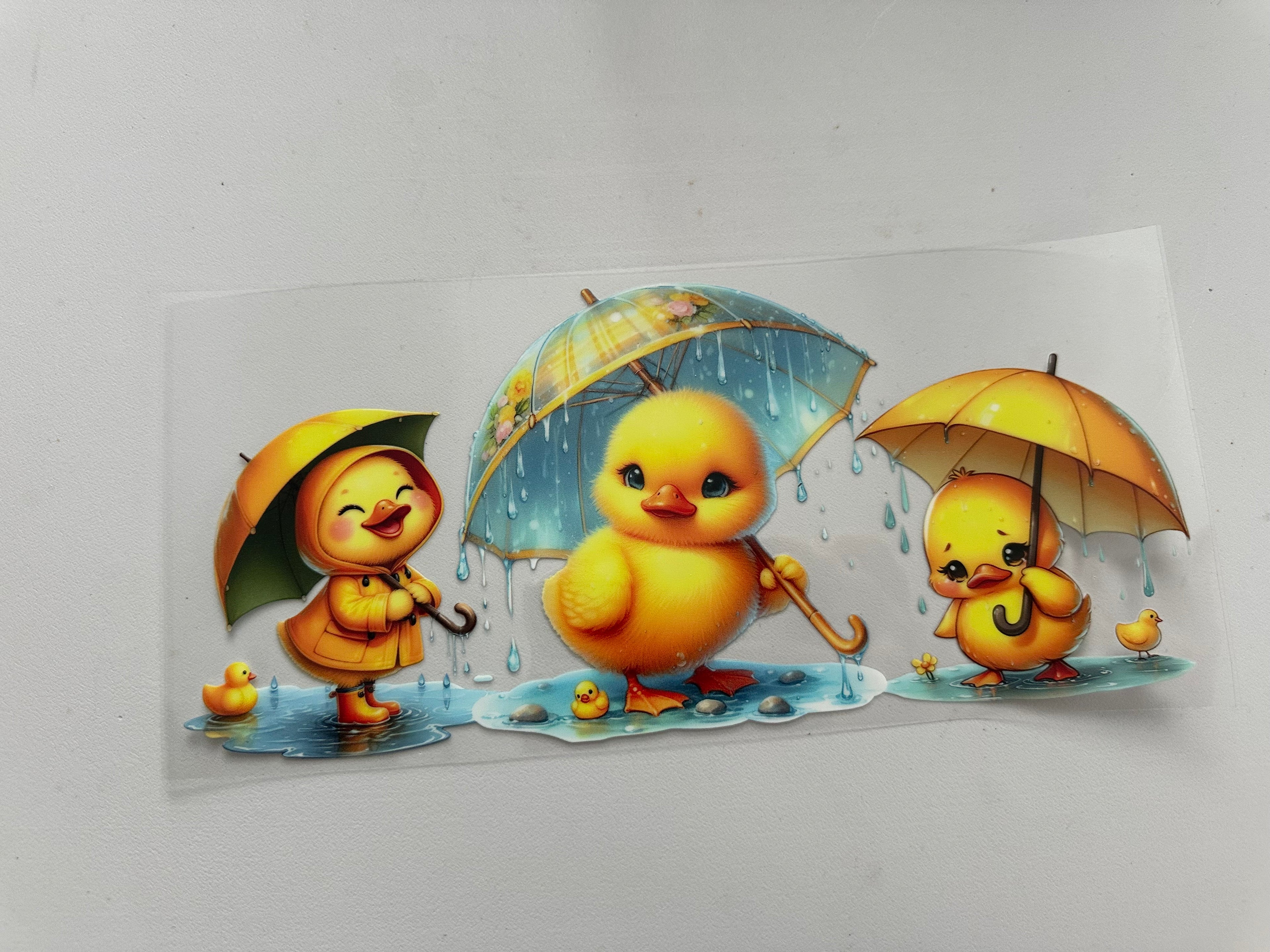 Ducks In rain