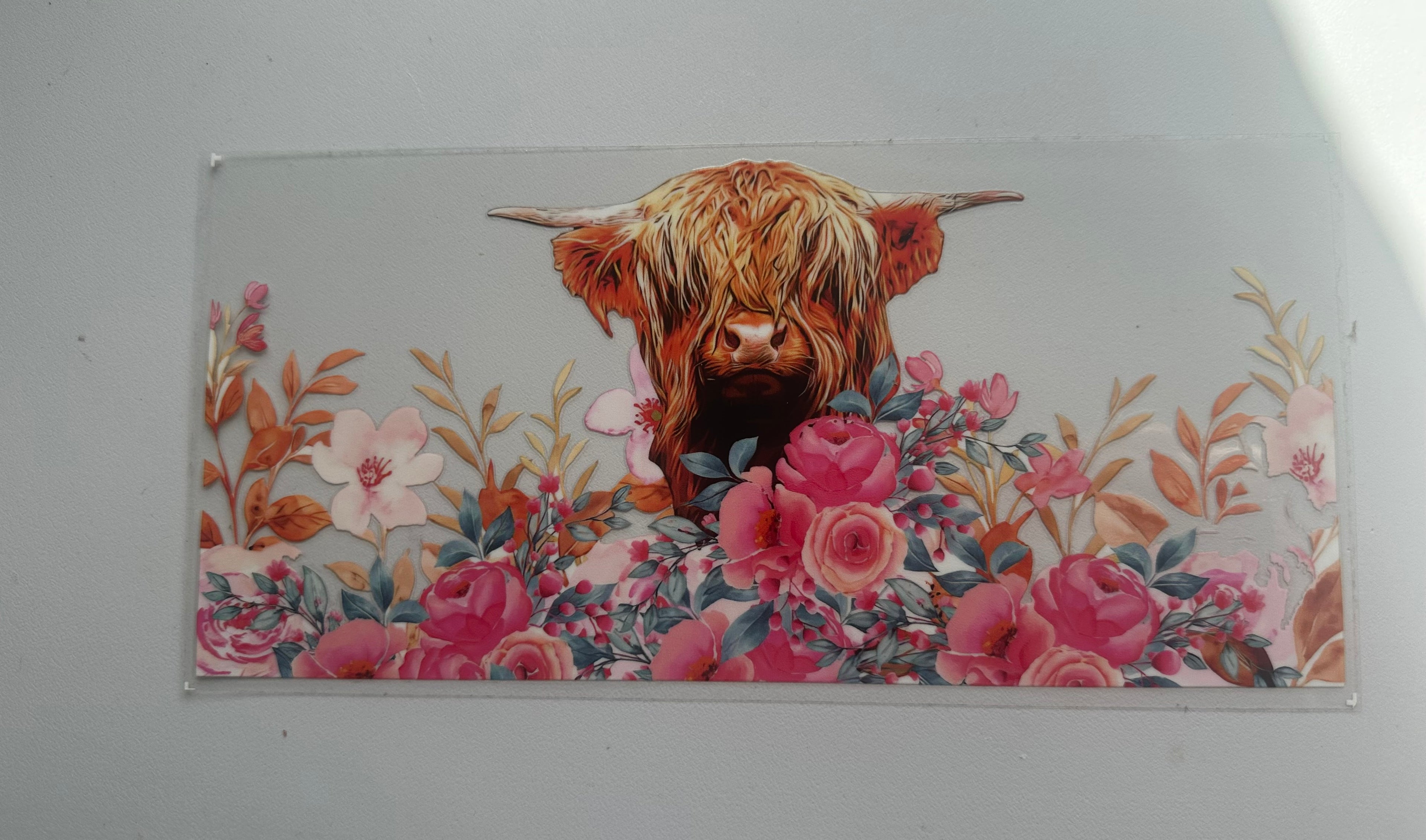 Highland cow with flowers