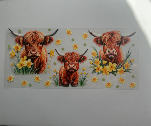 Highland cow with yellow flowers